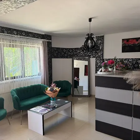 بيت ضيافة Pensiunea Boutique كوستِنيست