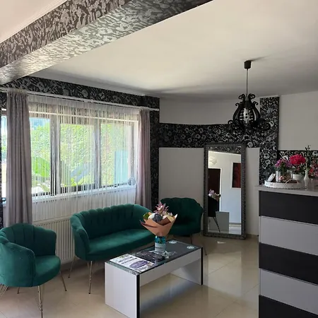 Pensiunea Boutique Гостевой дом Костинешти