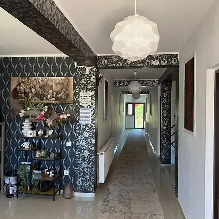 Гостевой дом Pensiunea Boutique