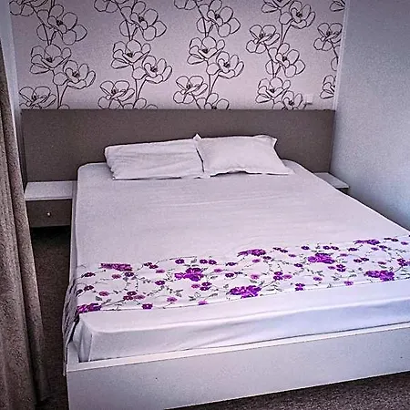 Guest house Pensiunea Boutique 3*